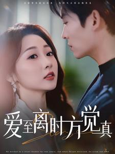 爱至离时方觉真（101集）热门短剧追不停