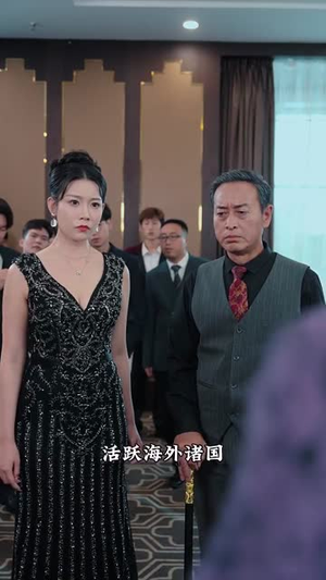 白夜追凶之龙兄虎弟（80集）短剧在哪里看