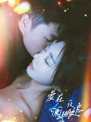 爱在夜色阑珊处（85集）最新热门短剧