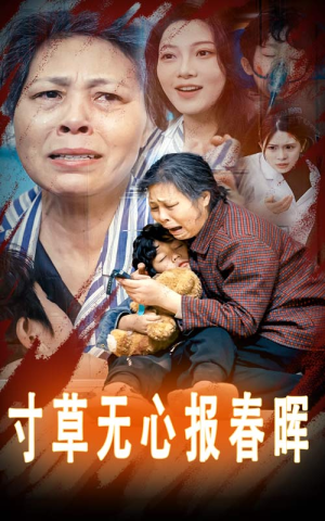 寸草无心报春晖（31集）百度在线观看