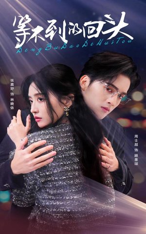 等不到的回头(35集) 等不到的回头(35集)热播短剧追不停