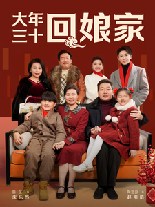 大年三十回娘家（30集）海量短剧免费看