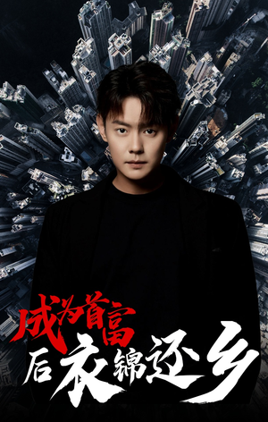 成为首富后衣锦还乡(30集) 成为首富后衣锦还乡(30集)1-102集