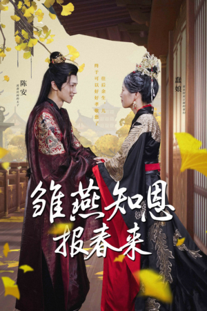 雏燕知恩报春来（36集）短剧也太好看了