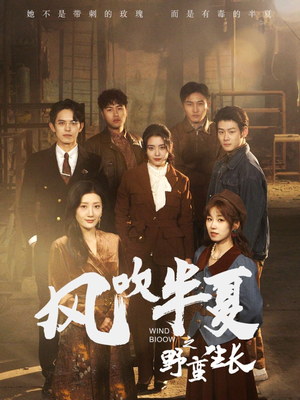 风吹半夏之野蛮生长（59集）短剧完整版免费