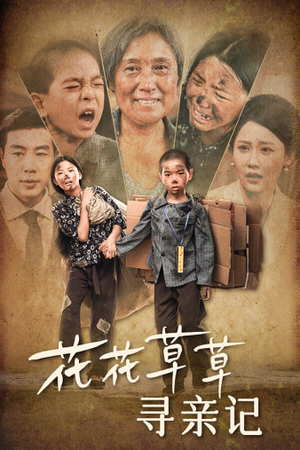 花花草草寻亲记（42集）好看的国产短剧