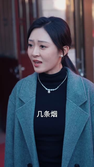 回家过年遇到极品亲戚(29集) 回家过年遇到极品亲戚(29集)超好看短剧推荐