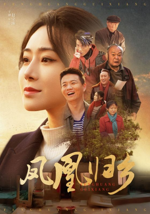 凤凰归乡（33集）热门短剧抢先