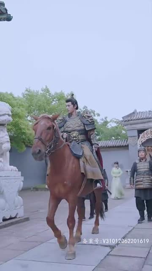 半江瑟瑟半江红（82集）高清无码免费看