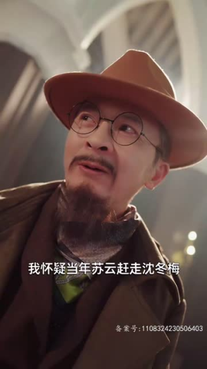 浩气长存（100集）短剧中追到爽