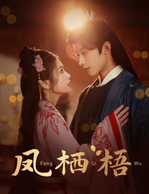 凤栖梧（60集）短剧追不停