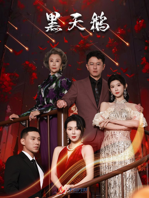 黑天鹅（51集）常回家看看短剧