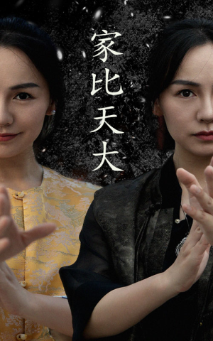 家比天大（63集）免费在线看全集