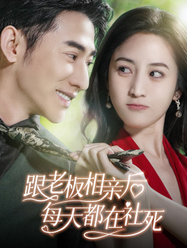 跟老板相亲后每天都在社死（83集）上热门短剧