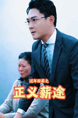 过年回家之正义薪途（40集）经典老剧免费看