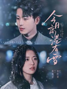 今日离港有雪（83集）完整版免费观看