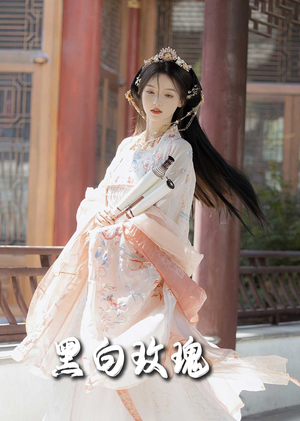 黑白玫瑰（66集）在线免费观影