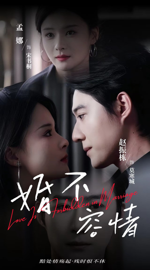 婚不容情（89集）穿越短剧推荐