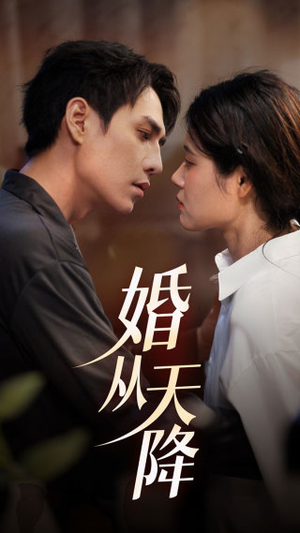 婚从天降（92集）百度网盘资源