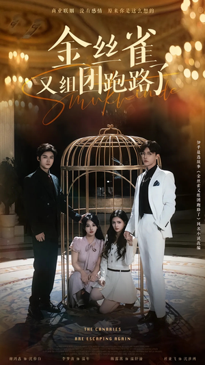 金丝雀又组团跑路了（长篇）在线观看