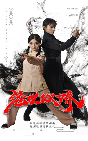 绝世双娇（60集）评价怎么样