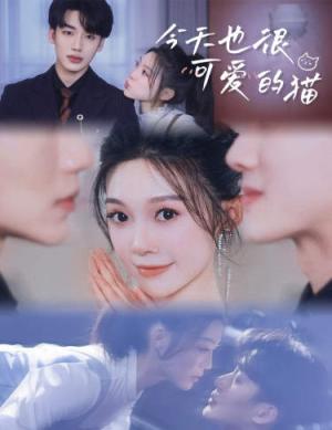 今天也很可爱的猫（72集）精彩短剧分享。