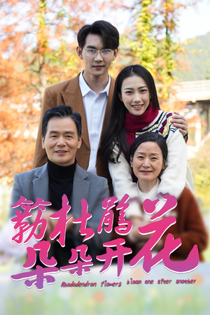 簕杜鹃花朵朵开（38集）火爆短剧来袭