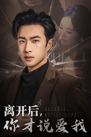 离开后，你才说爱我（30集）在线观看