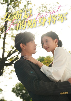 女霸总的贴身将军（80集）高分佳作免费看