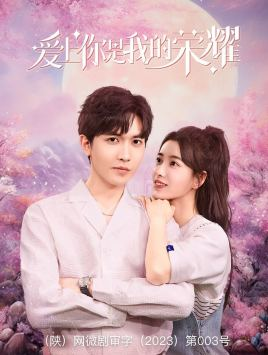 爱上你是我的荣耀（57集）免费看短剧