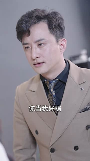 新版：镇国龙帅（102集）1-102集