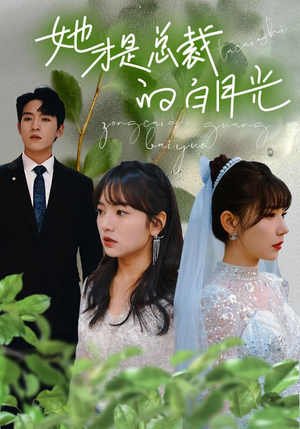 她才是总裁的白月光(90集) 她才是总裁的白月光(90集)海量短剧免费看