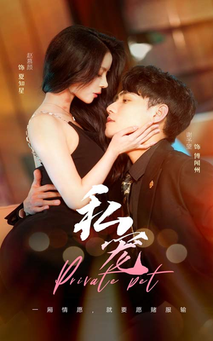 私宠（94集）爆款短剧追不停