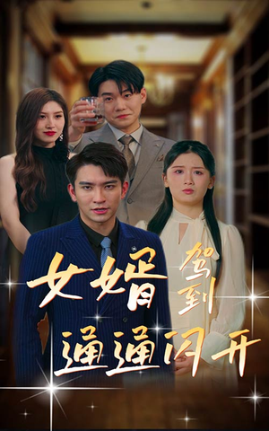 女婿驾到，通通闪开（34集）精彩短剧下载