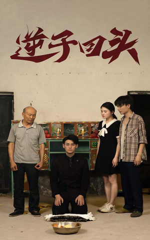 逆子回头（33集）免费观看就是爽