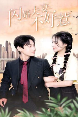 闪婚夫妻不好惹(90集) 闪婚夫妻不好惹(90集)排行榜前十短剧