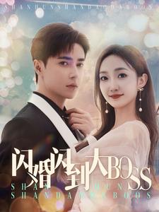 闪婚闪到大BOOS（76集）红果免费短剧