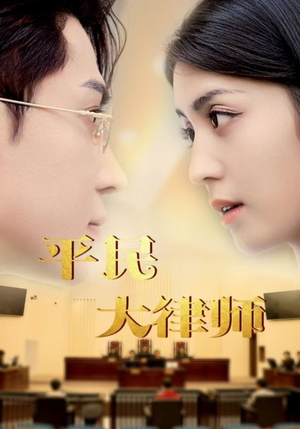 平民大律师(95集) 平民大律师(95集)免费观看就是爽