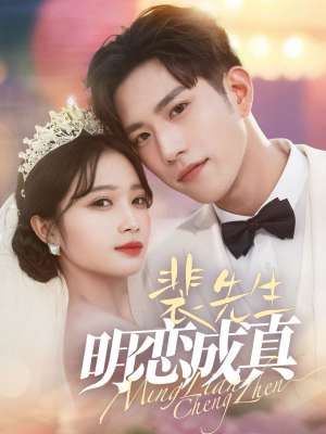 裴先生明恋成真（62集）全集下载