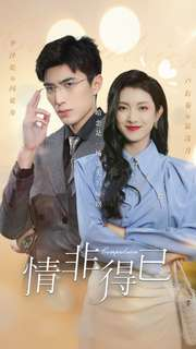 情非得已（60集）迅雷网盘观看