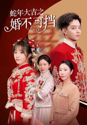 蛇年大吉之婚不可挡（50集）直接追到结尾