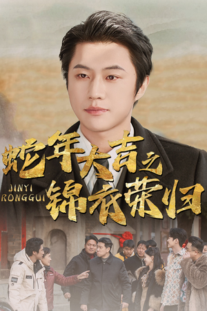 蛇年大吉之锦衣荣归（31集）在哪里看