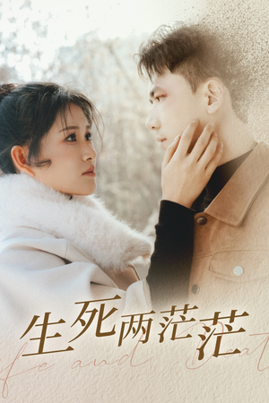 生死两茫茫（35集）精彩短剧热播