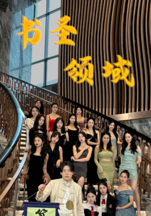 书圣领域（95集）热门短剧免费看