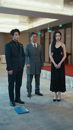 欺人不欺帽（50集）高清画质免费看