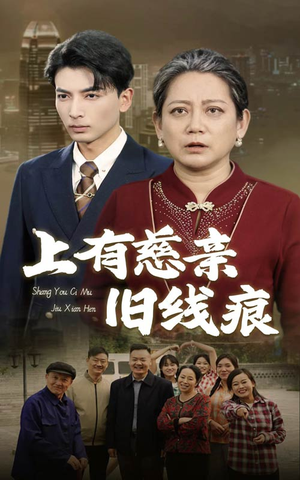 上有慈亲旧线痕（64集）UC网盘在线看