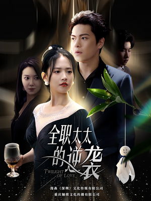 全职太太的逆袭（80集）短视频追剧推荐