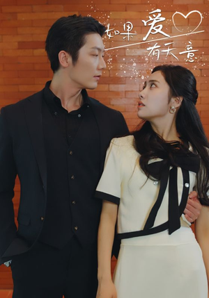 如果爱有天意（80集）热门短剧抢先