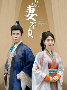 唯妻不负（80集）穿越短剧推荐