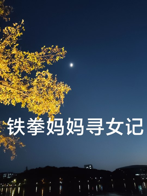 铁拳妈妈寻女记（69集）高清无码免费看